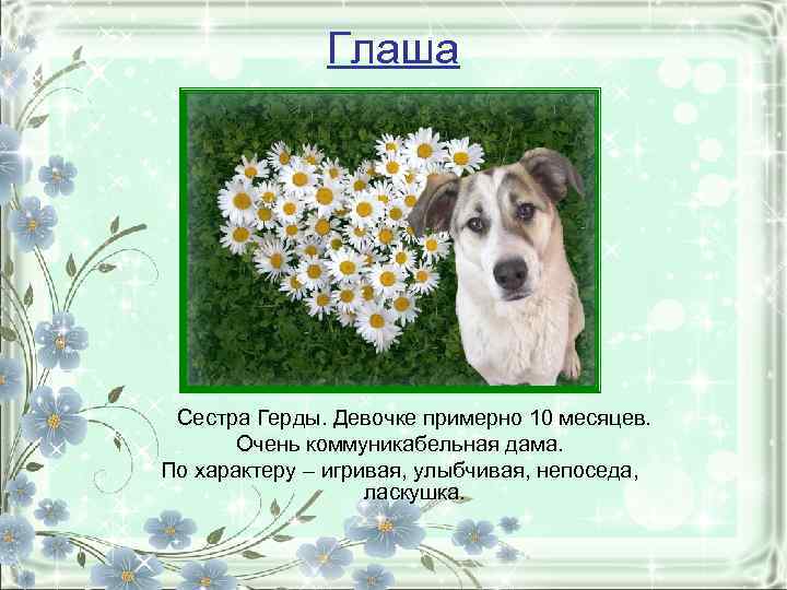 Глаша Сестра Герды. Девочке примерно 10 месяцев. Очень коммуникабельная дама. По характеру – игривая,