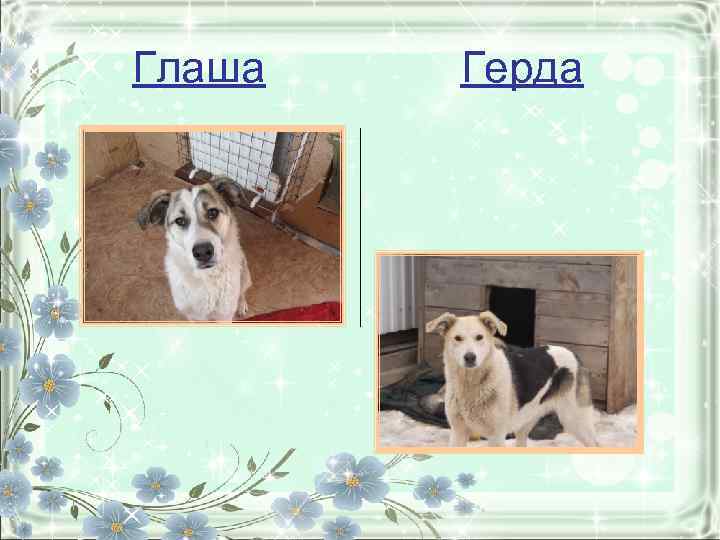 Глаша Герда 