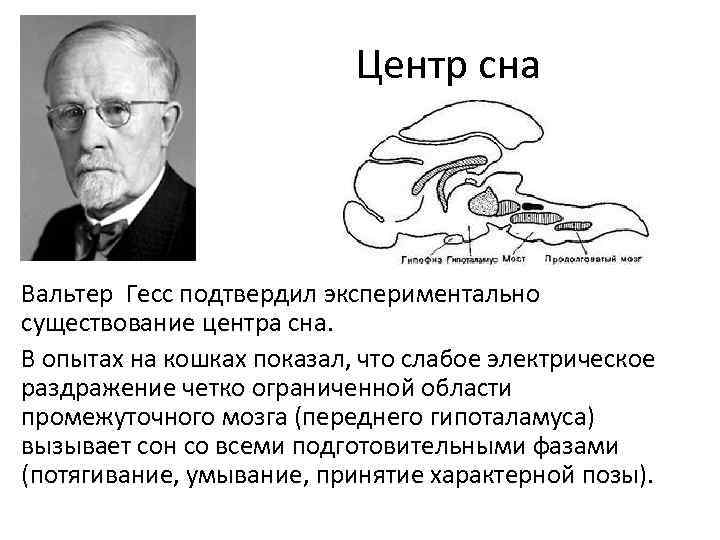 Центр сна