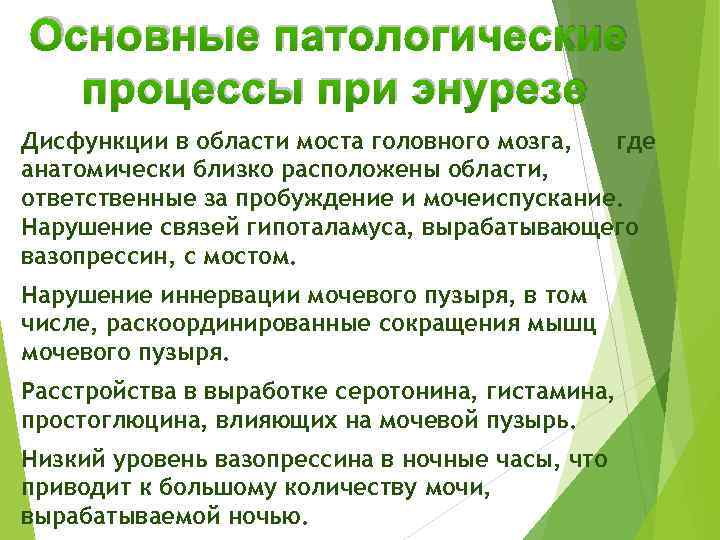 Основные патологические процессы при энурезе Дисфункции в области моста головного мозга, где анатомически близко