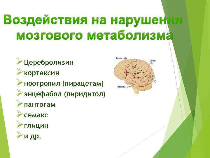 Воздействия на нарушения мозгового метаболизма ØЦеребролизин Øкортексин Øноотропил (пирацетам) Øэнцефабол (пиридитол) Øпантогам Øсемакс Øглицин