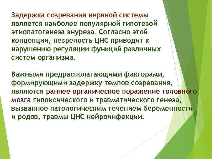 Задержка созревания нервной системы является наиболее популярной гипотезой этиопатогенеза энуреза. Согласно этой концепции, незрелость