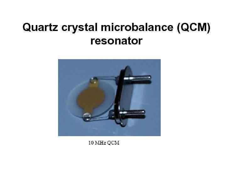 Quartz crystal microbalance (QCM) resonator 