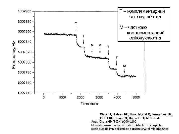 Т – комплементарний олігонуклеотид М – частково комплементарний олігонуклеотид Wang J, Nielsen PE, Jiang