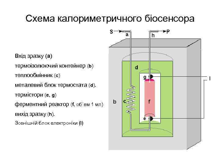 Схема калориметричного біосенсора Вхід зразку (а) термоізолюючий контейнер (b) теплообмінник (c) металевий блок термостата