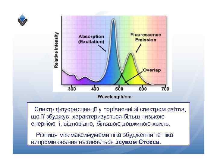 Спектр флуоресценції у порівнянні зі спектром світла, що її збуджує, характеризується більш низькою енергією