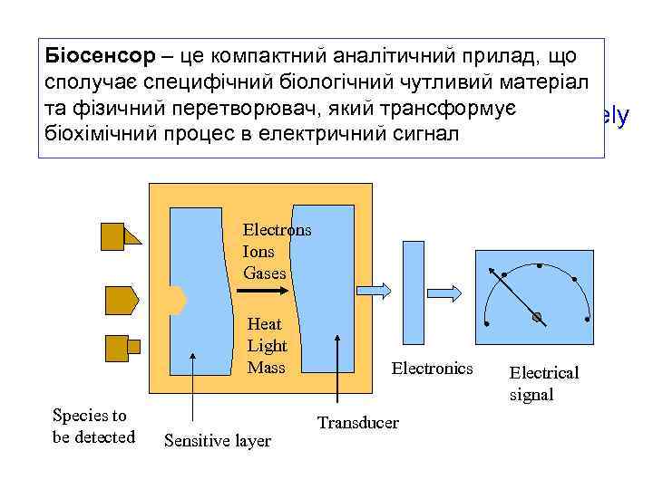 Biosensor– це a compact analytical device що Біосенсор - is компактний аналітичний прилад, сполучає