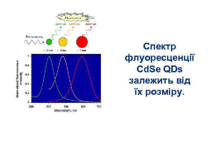 Спектр флуоресценції Cd. Se QDs залежить від їх розміру. 