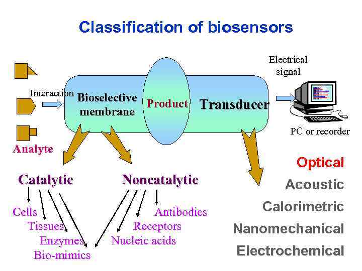 Classification of biosensors Electrical signal Interaction Bioselective Product Transducer membrane PC or recorder Analyte