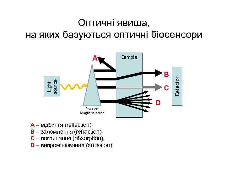 Оптичні явища, на яких базуються оптичні біосенсори A – відбиття (reflection), B – заломлення