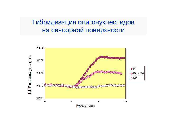 Гибридизация олигонуклеотидов на сенсорной поверхности 