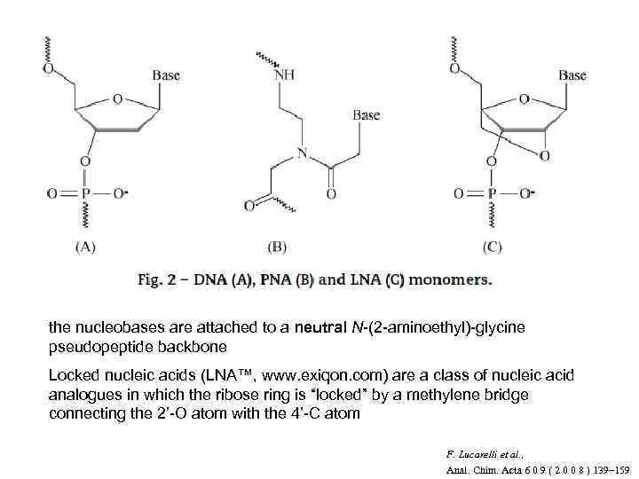 the nucleobases are attached to a neutral N-(2 -aminoethyl)-glycine pseudopeptide backbone Locked nucleic acids