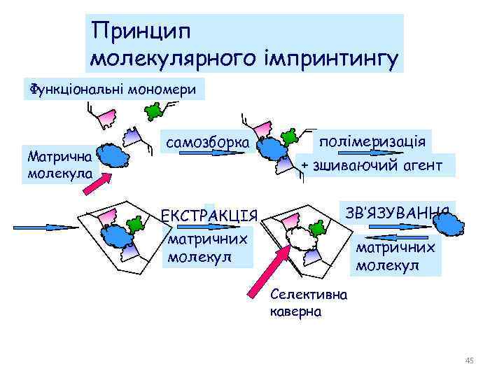 Принцип молекулярного імпринтингу Функціональні мономери Матрична молекула самозборка полімеризація + зшиваючий агент ЕКСТРАКЦІЯ матричних