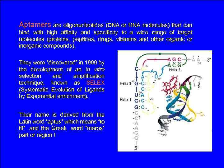 Aptamers are oligonucleotides (DNA or RNA molecules) that can bind with high affinity and