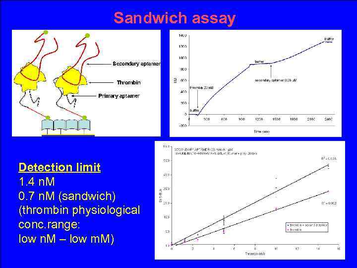 Sandwich assay Detection limit 1. 4 n. M 0. 7 n. M (sandwich) (thrombin