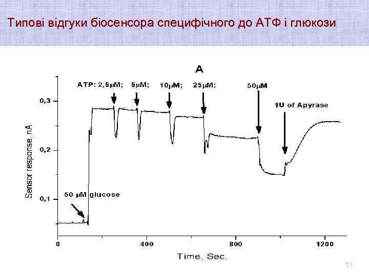 Типові відгуки біосенсора специфічного до АТФ і глюкози 31 