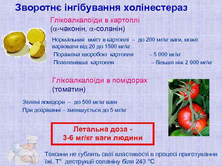 Зворотнє інгібування холінестераз Глікоалкалоїди в картоплі ( -чаконін, -соланін) Нормальний вміст в картоплі –