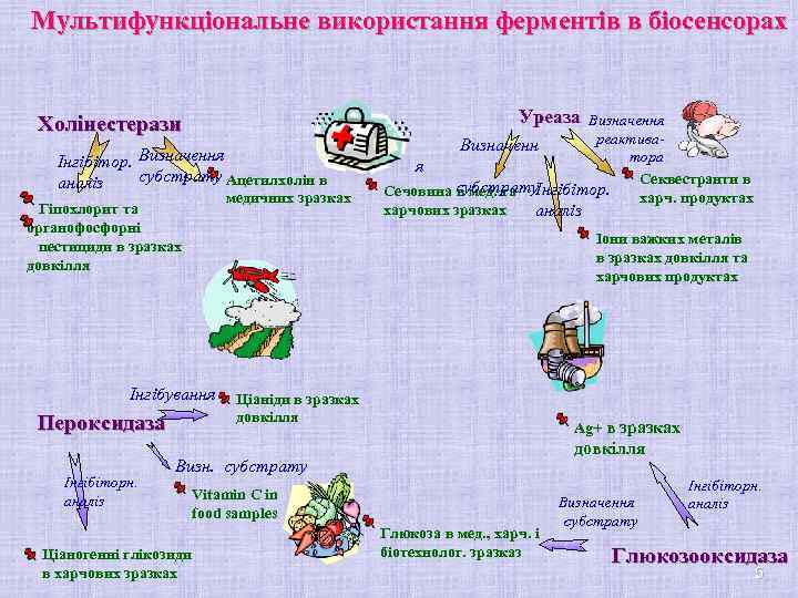Мультифункціональне використання ферментів в біосенсорах Уреаза Холінестерази Інгібітор. Визначення субстрату Ацетилхолін в аналіз медичних