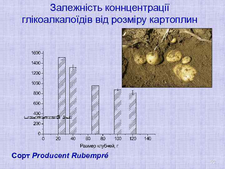 Залежність коннцентрації глікоалкалоїдів від розміру картоплин Сорт Producent Rubempré 53 