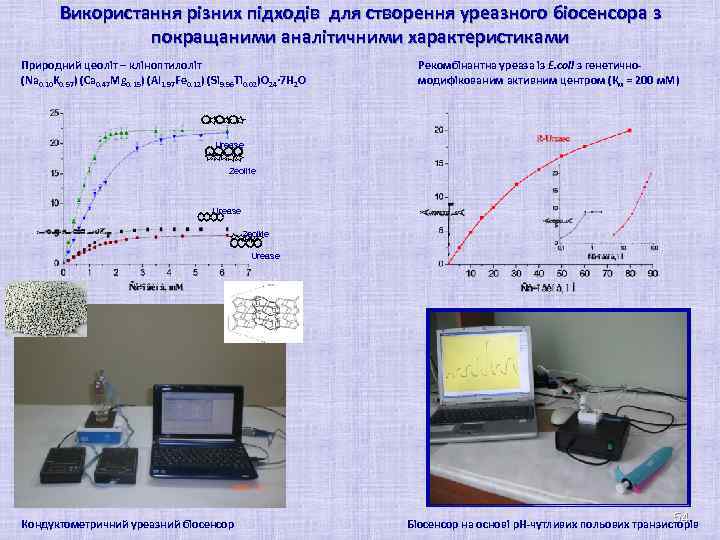 Використання різних підходів для створення уреазного біосенсора з покращаними аналітичними характеристиками Природний цеоліт –