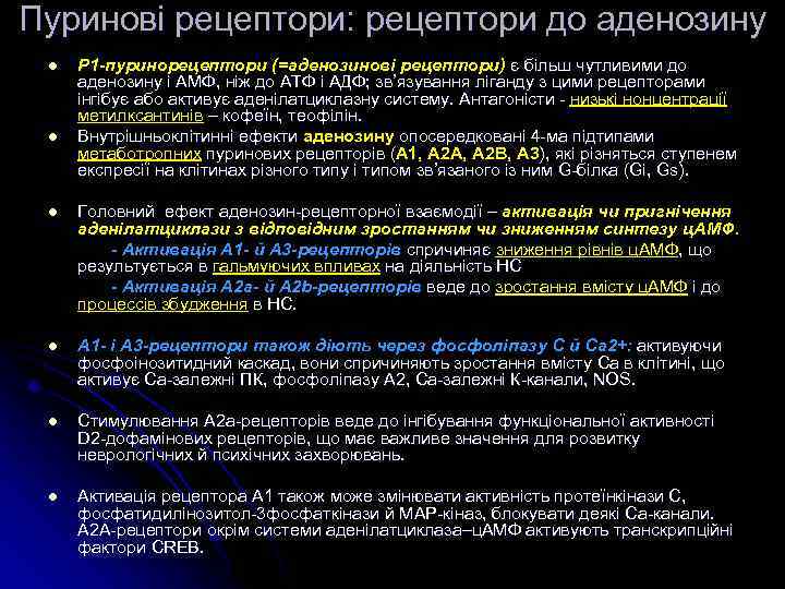 Пуринові рецептори: рецептори до аденозину l l P 1 -пуринорецептори (=аденозинові рецептори) є більш