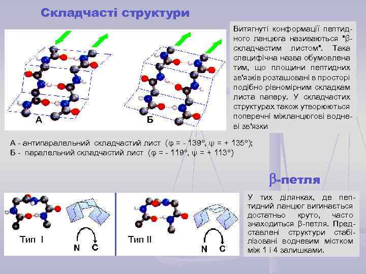 Складчасті структури А Б Витягнуті конформації пептидного ланцюга називаються "βскладчастим листом". Така специфічна назва