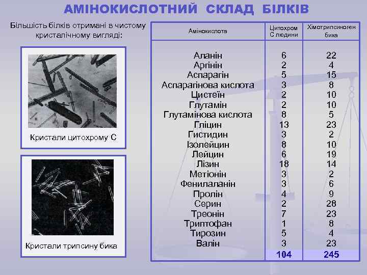 АМІНОКИСЛОТНИЙ СКЛАД БІЛКІВ Більшість білків отримані в чистому кристалічному вигляді: Кристали цитохрому С Кристали