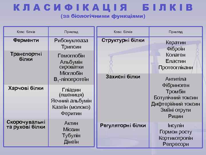 КЛАСИФІКАЦІЯ БІЛКІВ (за біологічними функціями) Клас білків Приклад Клас білків Ферменти Рибонуклеаза Трипсин Структурні