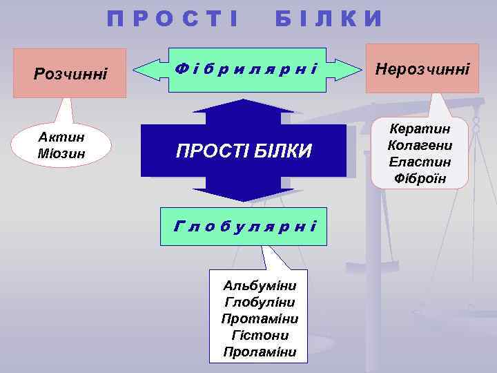 ПРОСТІ Розчинні Актин Міозин БІЛКИ Фібрилярні Нерозчинні ПРОСТІ БІЛКИ Кератин Колагени Еластин Фіброїн Глобулярні