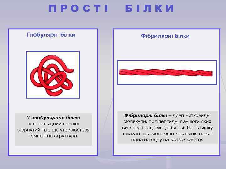ПРОСТІ Глобулярні білки У глобулярних білків поліпептидний ланцюг згорнутий так, що утворюється компактна структура.