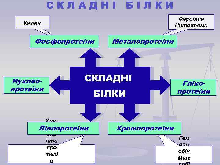 СКЛАДНІ БІЛКИ Феритин Цитохроми Казеїн Фосфопротеїни Нуклеопротеїни Металопротеїни СКЛАДНІ Хіло мікр Ліпопротеїни они Ліпо