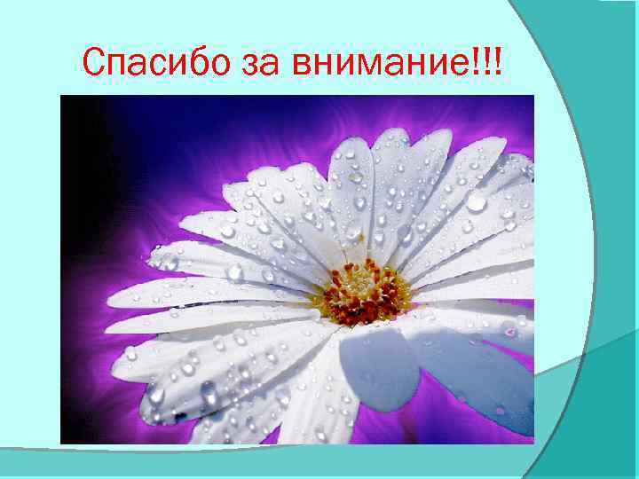 Спасибо за внимание!!! 