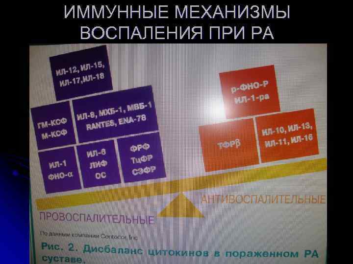 ИММУННЫЕ МЕХАНИЗМЫ ВОСПАЛЕНИЯ ПРИ РА 
