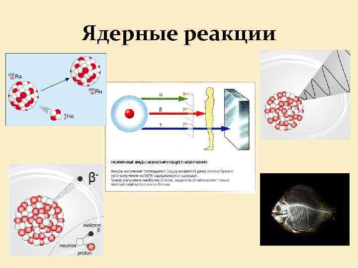 Ядерные реакции 