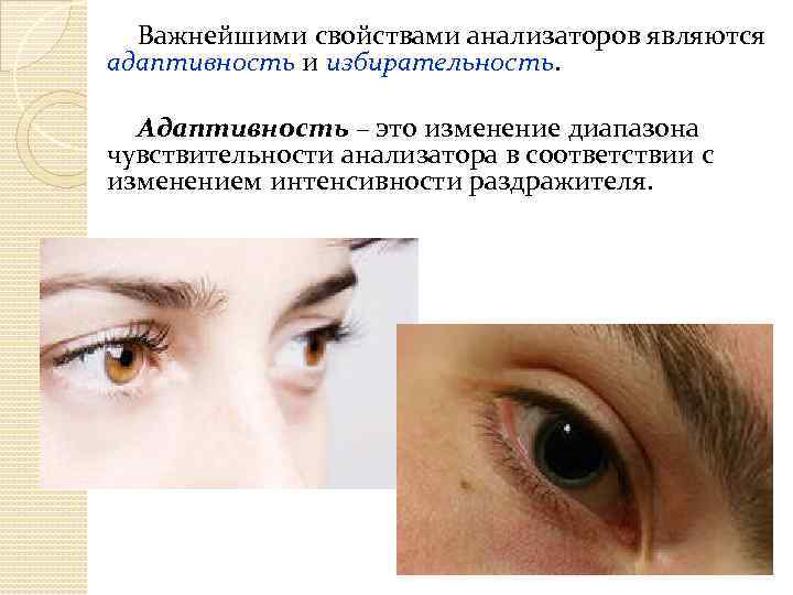 Важнейшими свойствами анализаторов являются адаптивность и избирательность. Адаптивность – это изменение диапазона чувствительности анализатора
