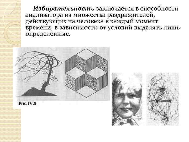 Избирательность заключается в способности анализатора из множества раздражителей, действующих на человека в каждый момент