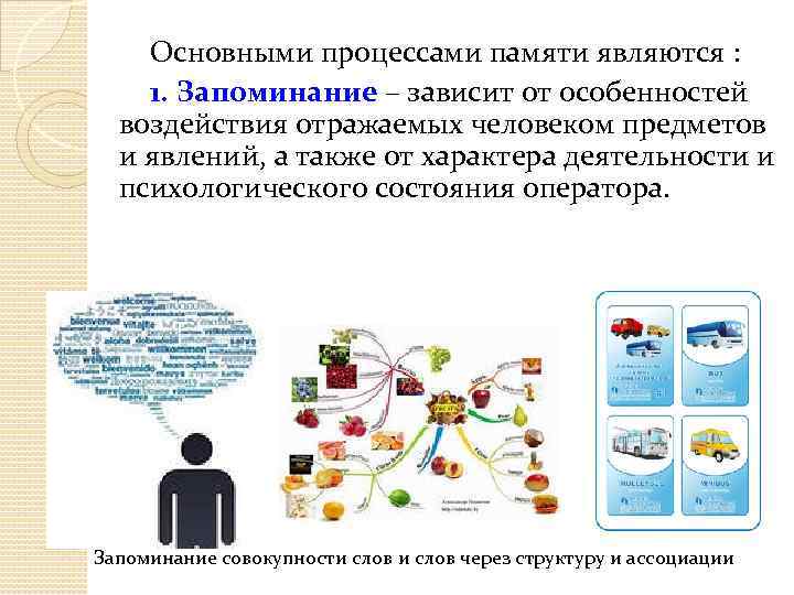 Основными процессами памяти являются : 1. Запоминание – зависит от особенностей воздействия отражаемых человеком