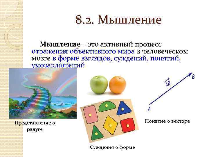 8. 2. Мышление – это активный процесс отражения объективного мира в человеческом мозге в