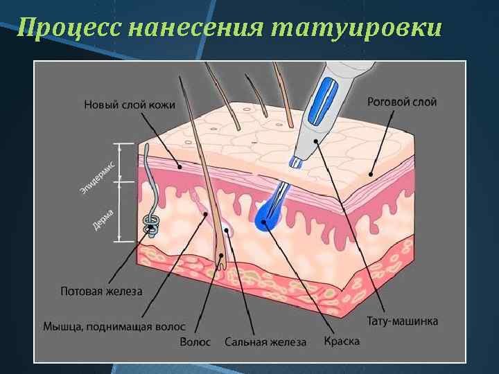 Процесс нанесения татуировки 