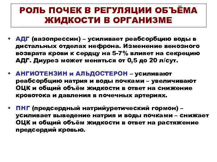 РОЛЬ ПОЧЕК В РЕГУЛЯЦИИ ОБЪЁМА ЖИДКОСТИ В ОРГАНИЗМЕ • АДГ (вазопрессин) – усиливает реабсорбцию