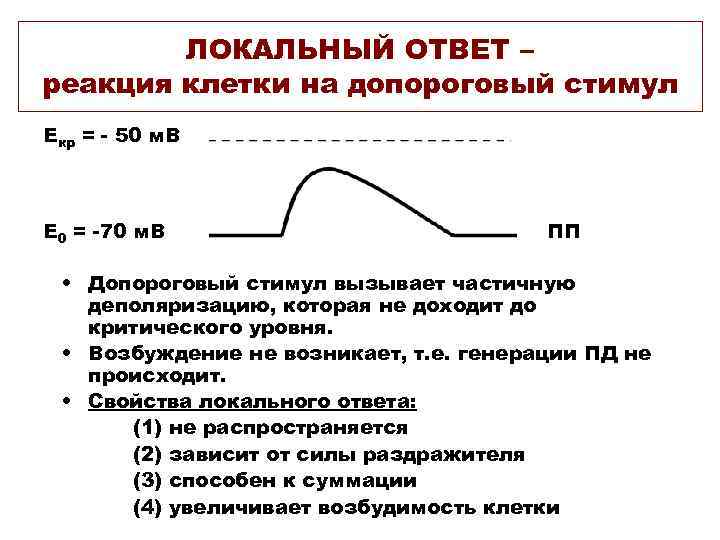 Реакция на ответ. Локальный ответ это фаза потенциала действия. Фазы локального ответа физиология. Свойства локального ответа. Локальный ответ и его фазы..