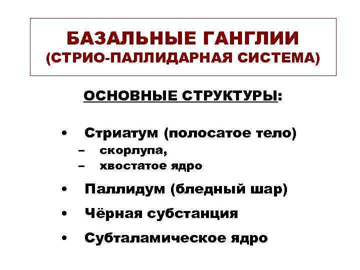 БАЗАЛЬНЫЕ ГАНГЛИИ (СТРИО-ПАЛЛИДАРНАЯ СИСТЕМА) ОСНОВНЫЕ СТРУКТУРЫ: • Стриатум (полосатое тело) – – скорлупа, хвостатое