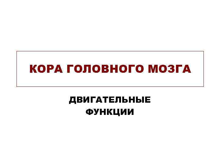 КОРА ГОЛОВНОГО МОЗГА ДВИГАТЕЛЬНЫЕ ФУНКЦИИ 