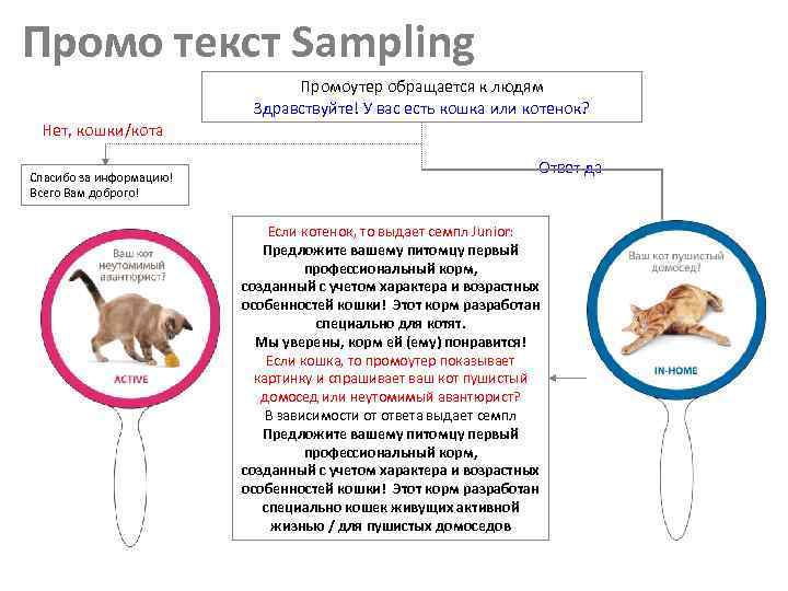 Промо текст Sampling Промоутер обращается к людям Здравствуйте! У вас есть кошка или котенок?