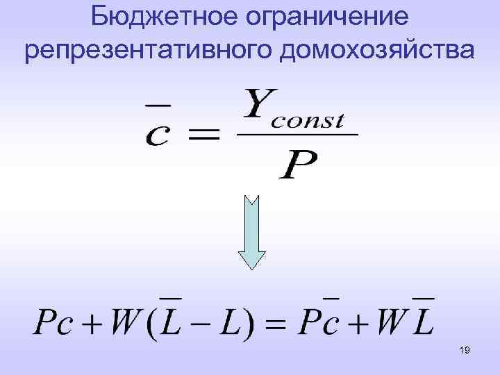 Бюджетное ограничение репрезентативного домохозяйства 19 