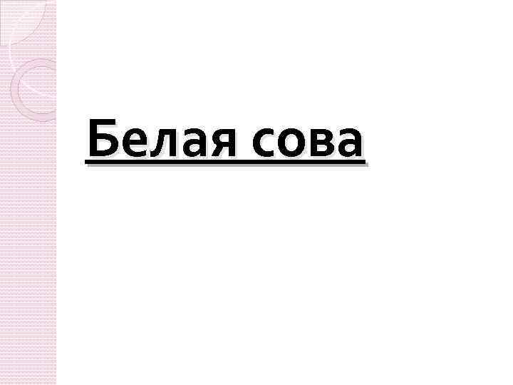 Белая сова 