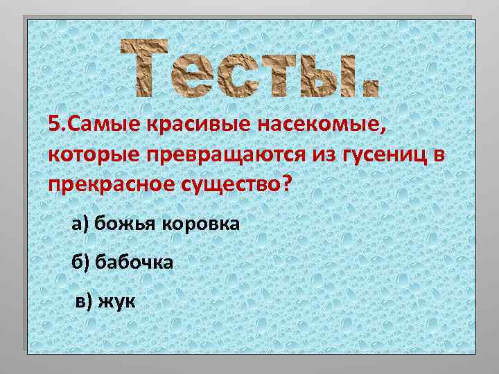 5. Самые красивые насекомые, которые превращаются из гусениц в прекрасное существо? а) божья коровка