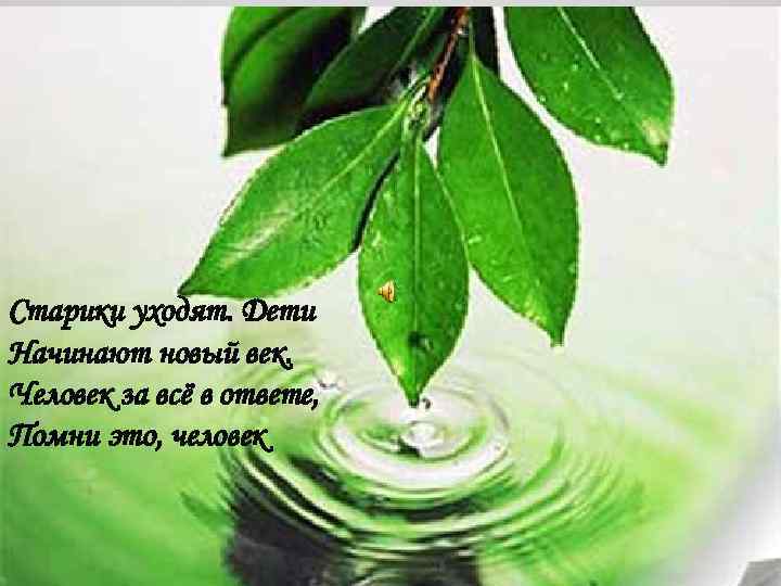Старики уходят. Дети Начинают новый век. Человек за всё в ответе, Помни это, человек