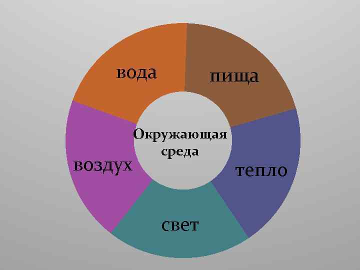 вода пища Окружающая среда воздух свет тепло 