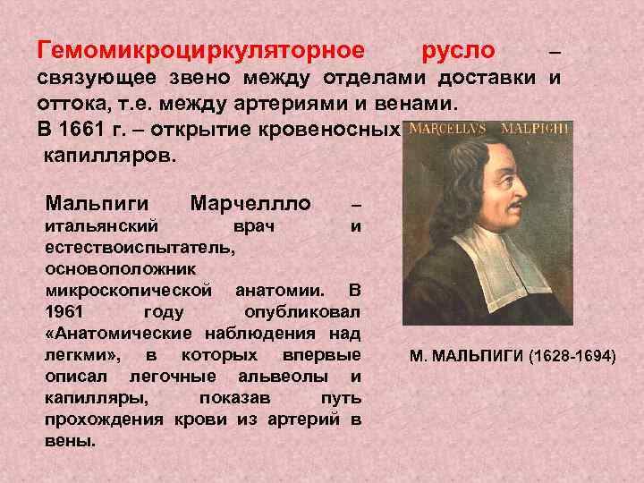 Гемомикроциркуляторное русло – связующее звено между отделами доставки и оттока, т. е. между артериями